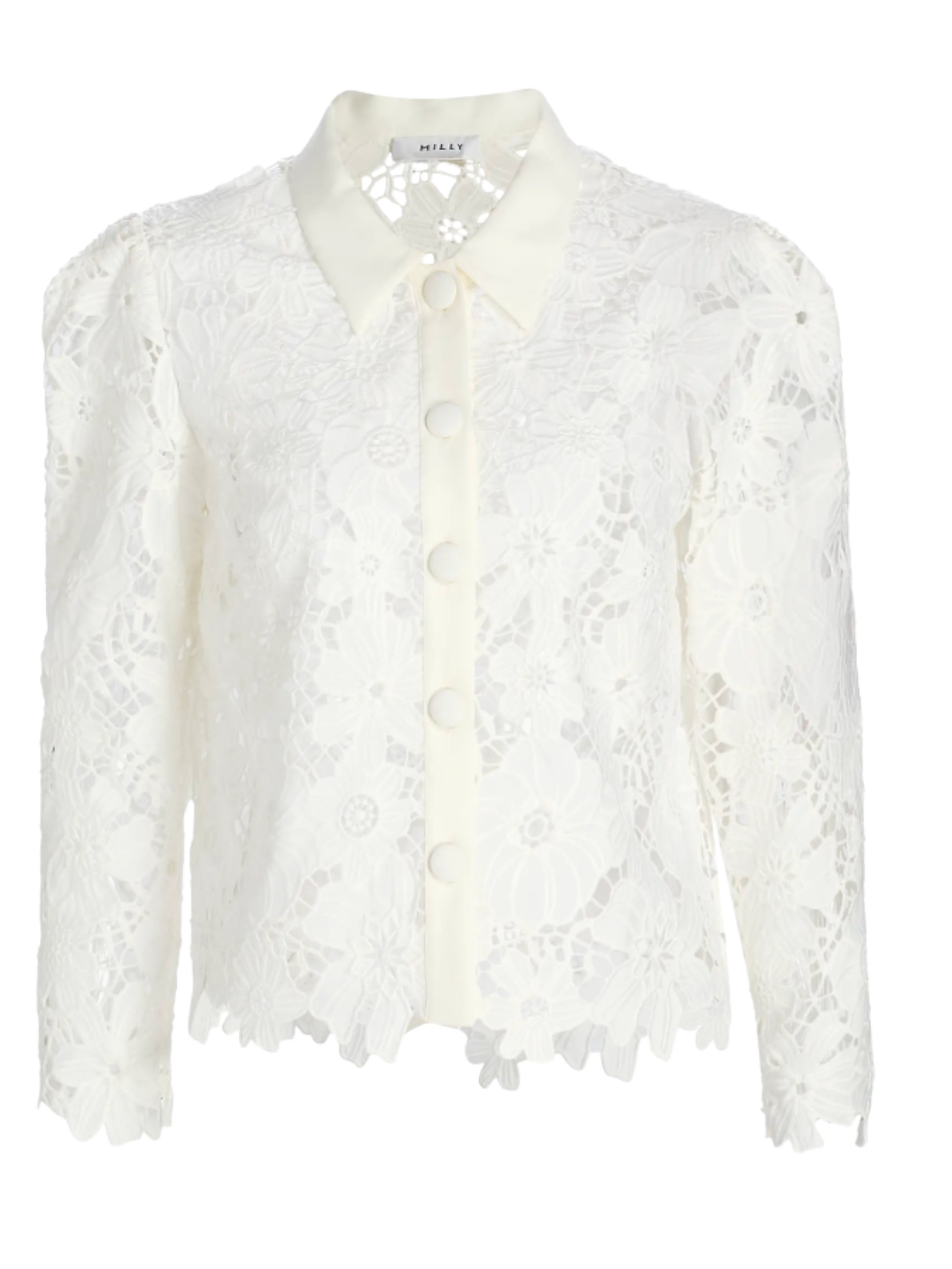 Puff sleeve on shoulder and fitted on wriest 
