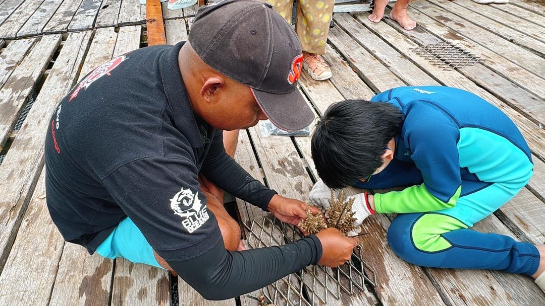 From Destruction To Restoration: Healing Our Reefs