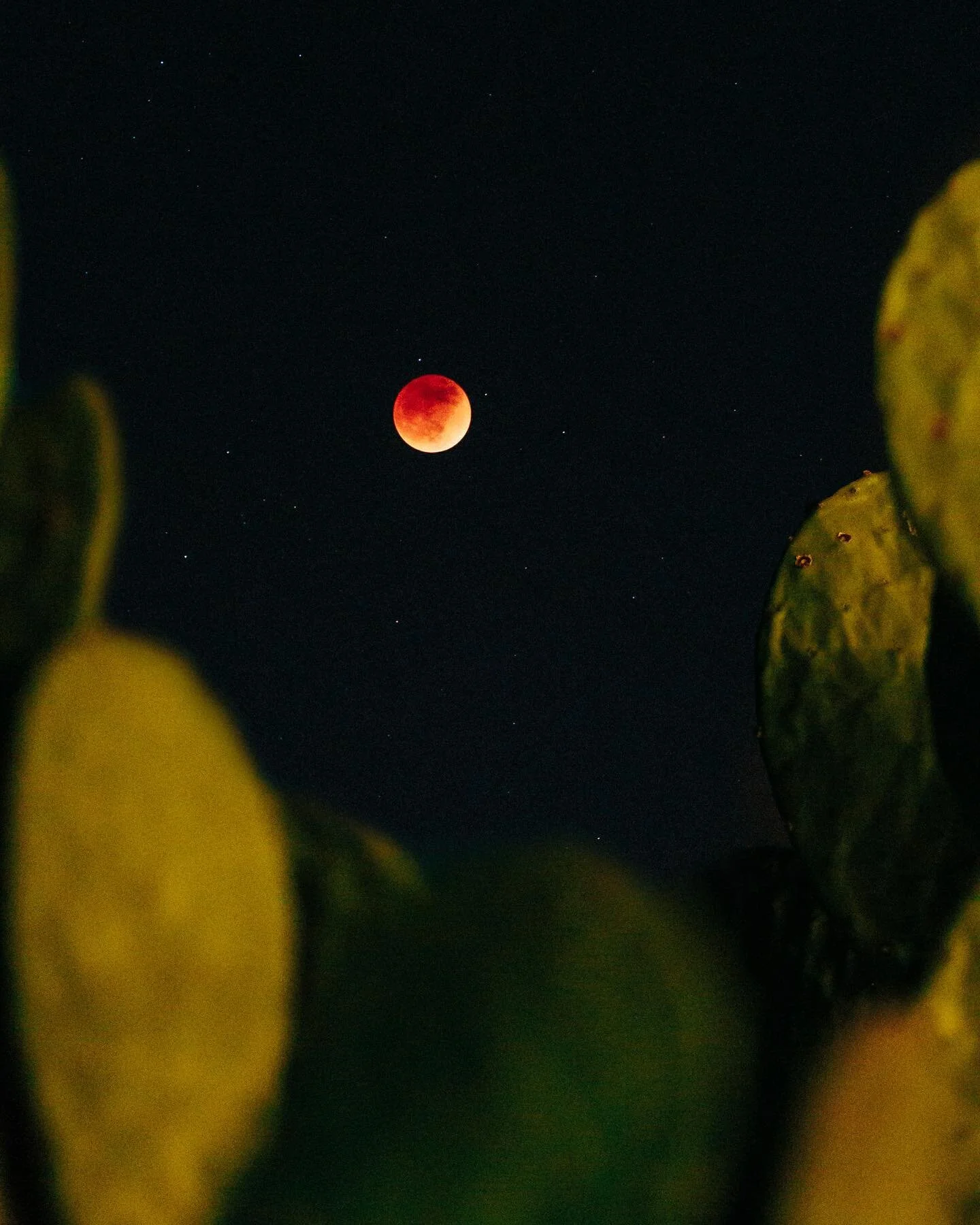 Took some photos of the #lunareclipse last night!
#Canon #R5
Canon RF 85 f/1.2 first photo
#Sigma 150-600 C for the last 2