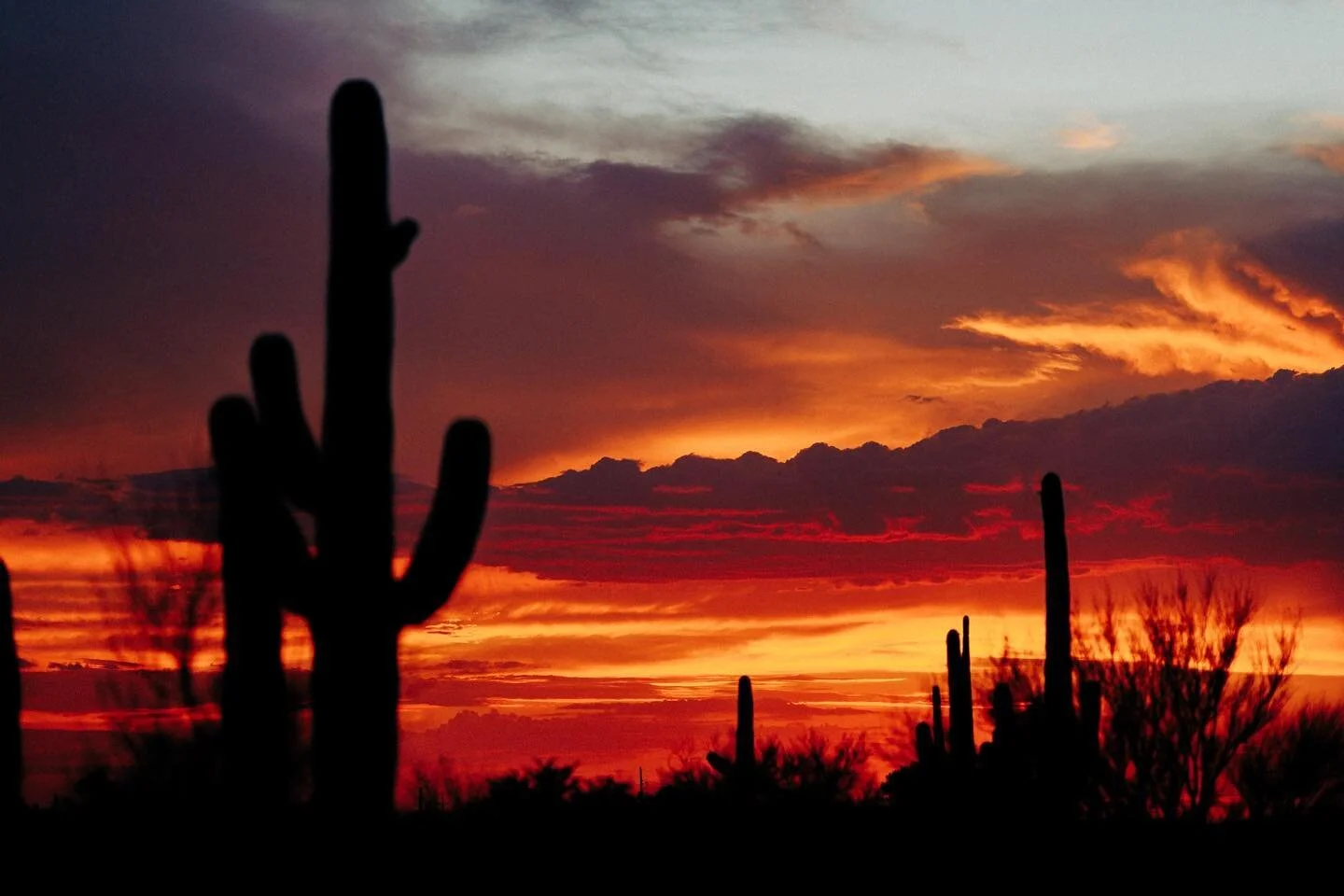 Posting a single still photo as a throwback to instagram of the 2010&rsquo;s 😂 #landscape #cactus #sunset #mycanonstory #r5