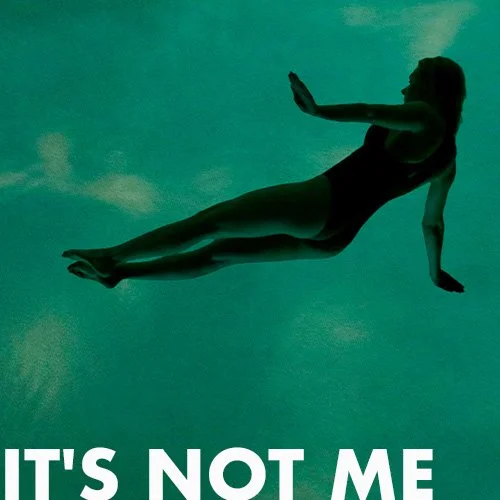 Still_Web Site_IT'S NOT ME.jpg