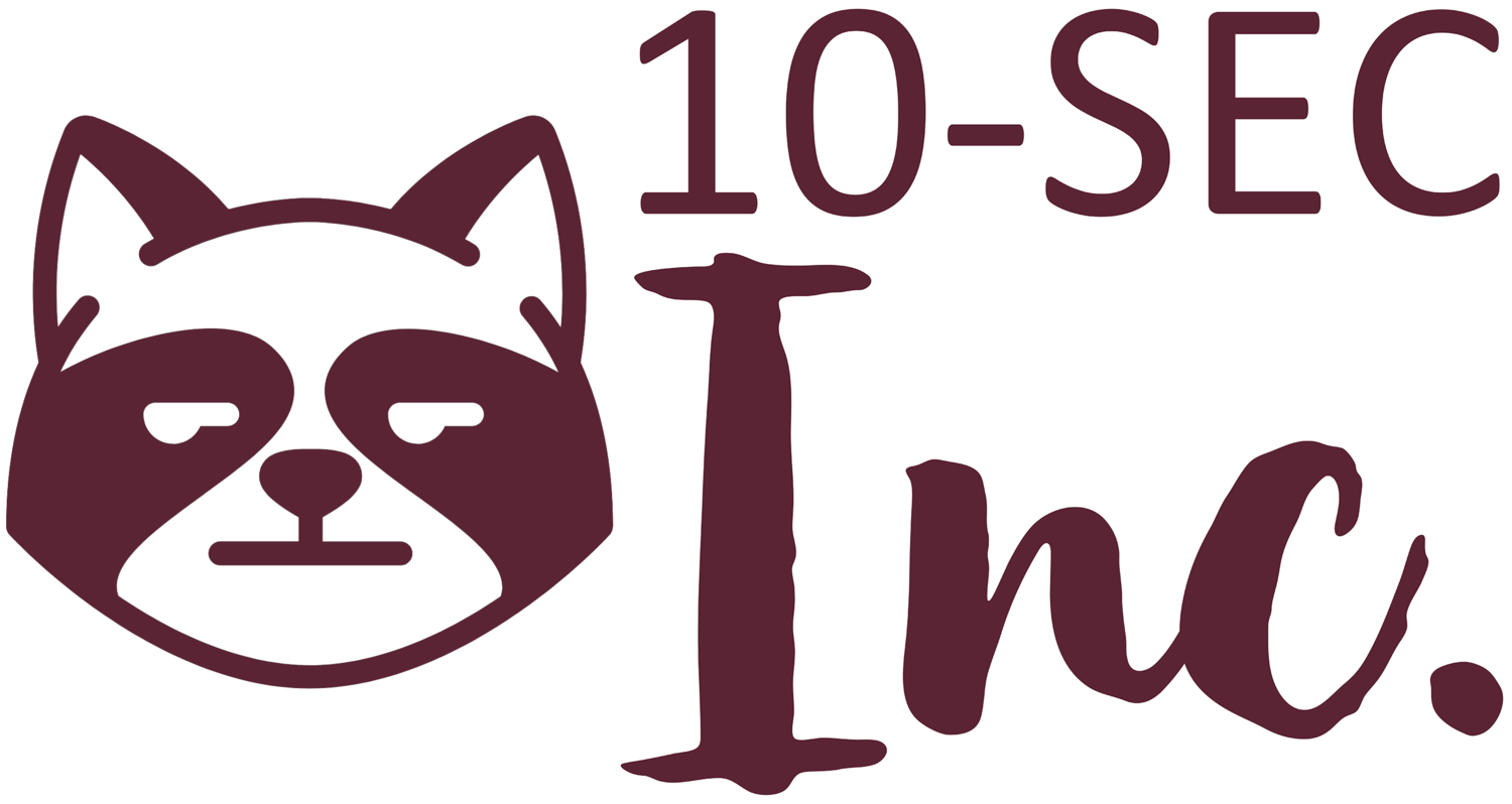 10-Sec, Inc.