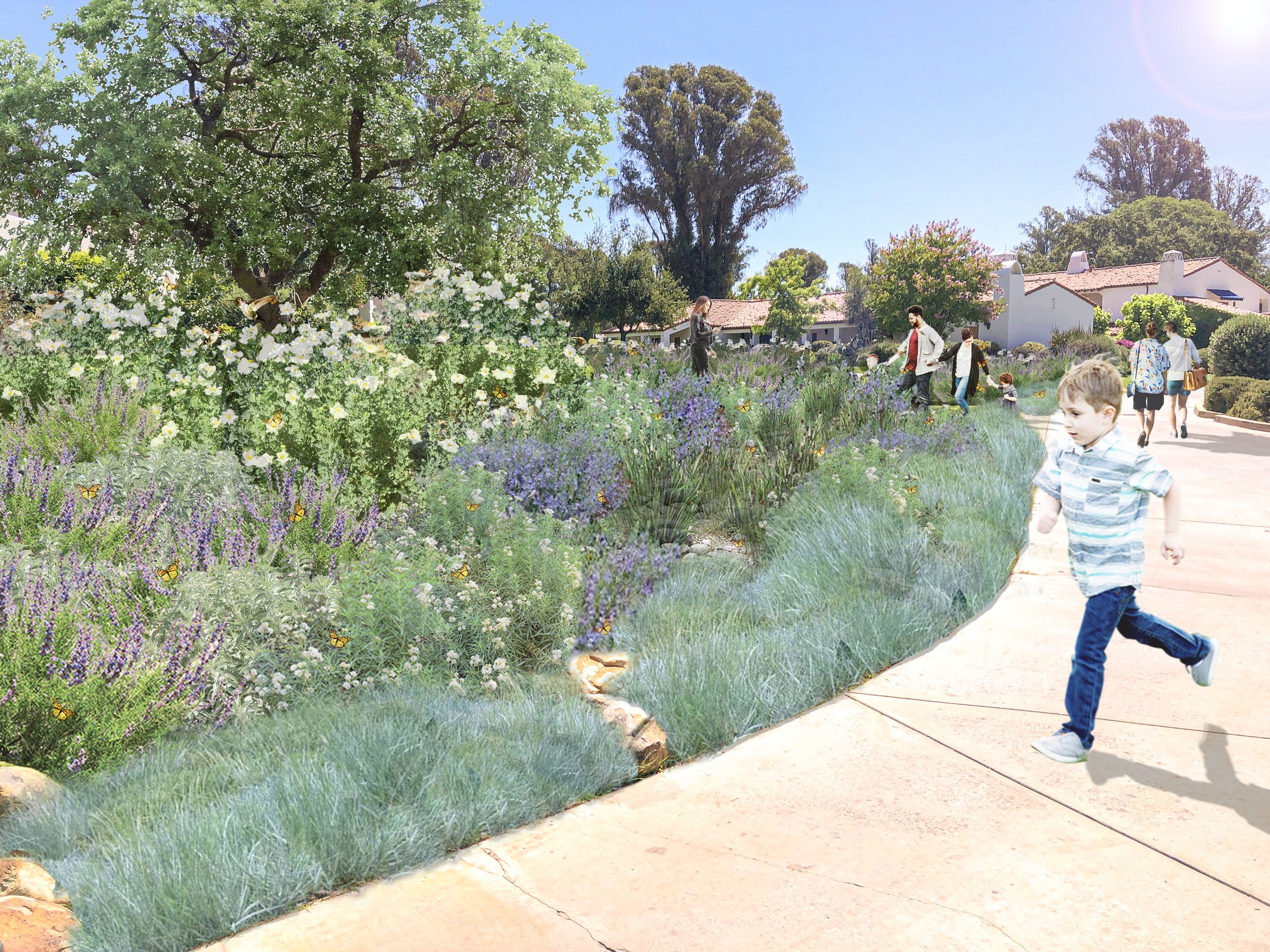 Lawn Conversion to Native Pollinator Rain Garden