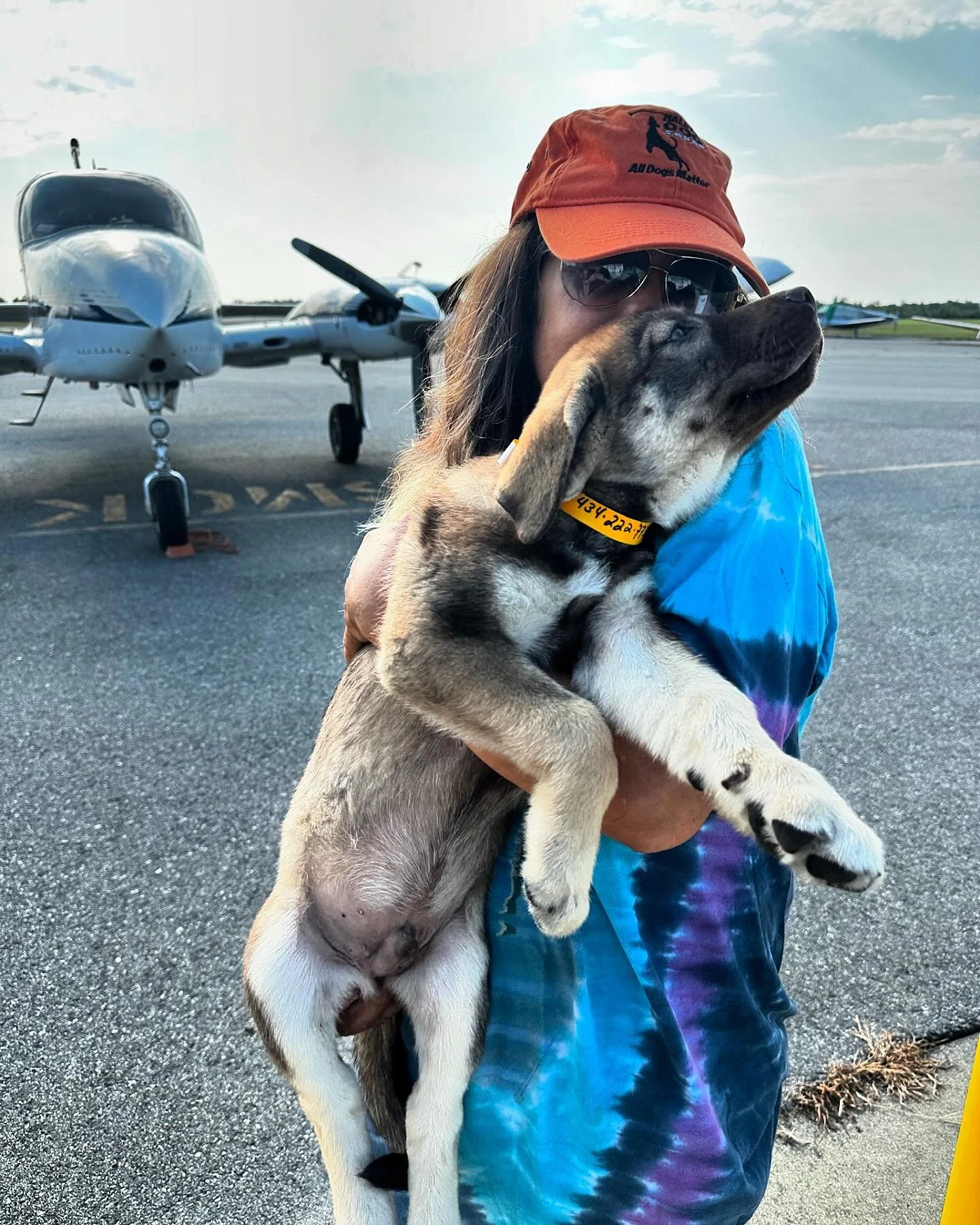 Happy Sunday! Our East Coast team of Dean & Rajan are getting up in the air today with five Shepherd-Husky pups! We are connecting these babies from Halifax Dog Squad in S. Boston, VA to Freckles Foundation at our home airport in  Leesburg, VA. C