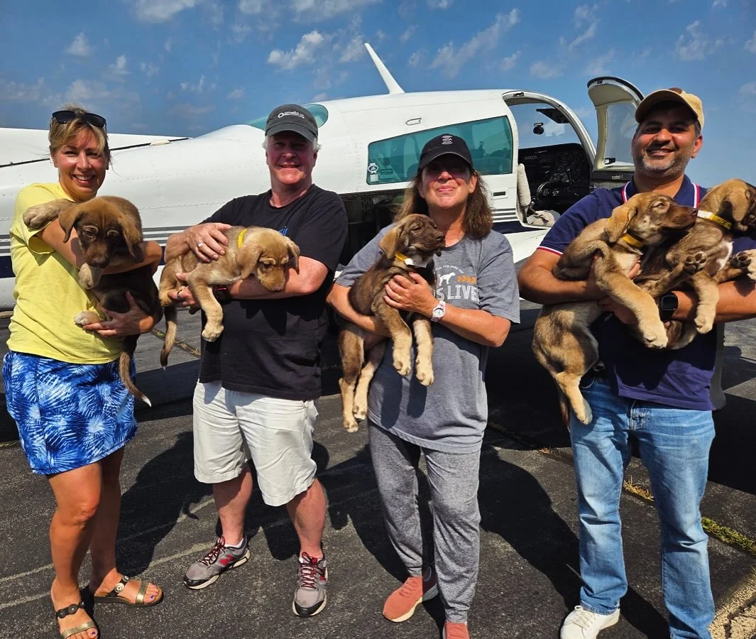 Thank you to everyone involved in our Sunday mission between Halifax Dog Squad and Freckles Foundation in Virginia! We are so thankful that these five pups are safe and sound with loving foster families. If you are interested in adoption, connect wit