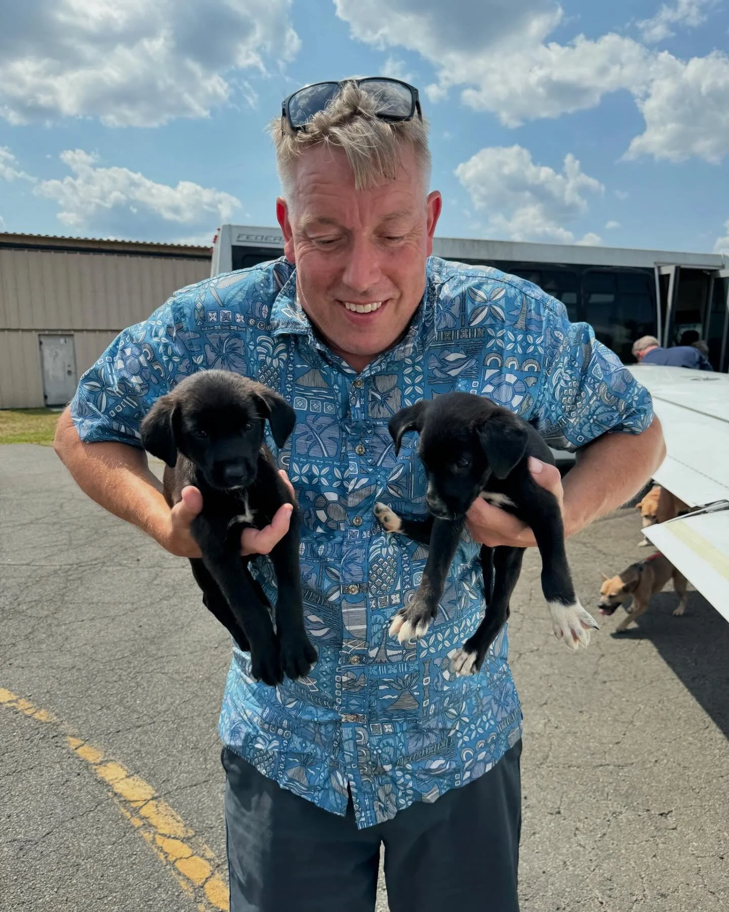 Sunday’s huge East coast mission was a great way to close out July!! Yesterday our pilots Rob & Erik flew from Leesburg, VA to Addison, TX and back with 37 dogs & pups from Drowzy Dawg (@drowzydawg) to Canine Humane Network (@chnpups) i