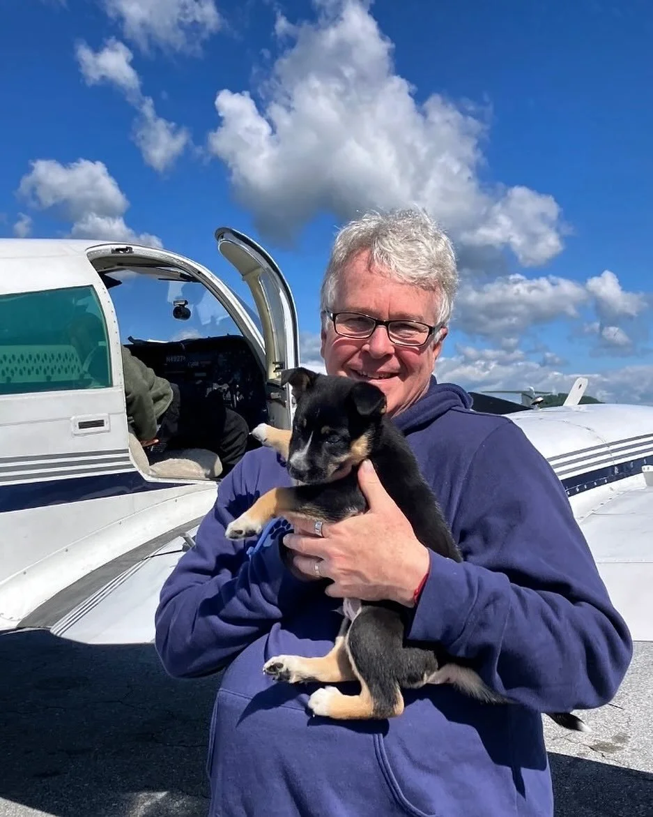 #HappyBirthday! August 1 is the official birthday for all rescue dogs! Thanks to @animalleague, since 2008, DOGust 1st has been a special day to honor these amazing pups and acknowledge their deep impact on our lives. Amelia Air is so proud to be a p