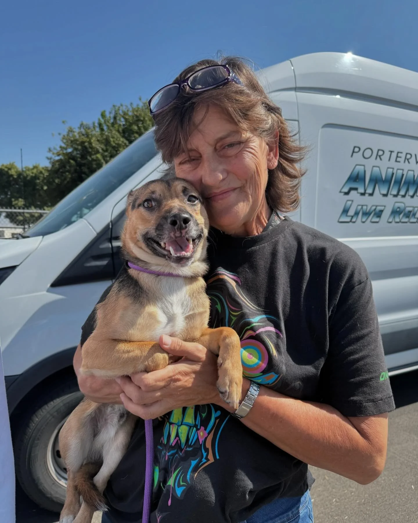 Just some of the Porterville shelter dogs who were on yesterday’s West Coast flight to @pricelesspetrescue πΎπβοΈπ₯²