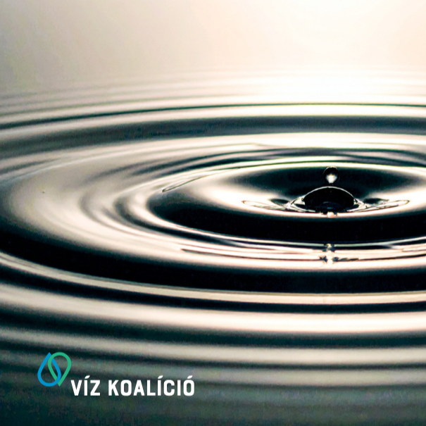 Vízminimum - Víz Koalíció 