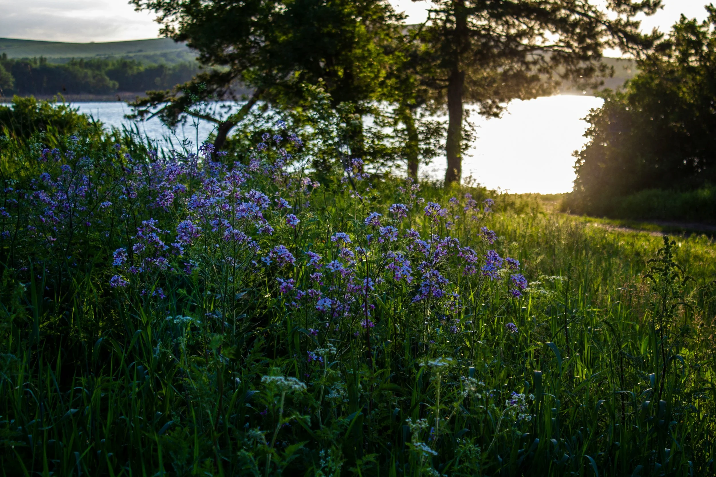 “Best Day Ever!”: Gathering Glimmers