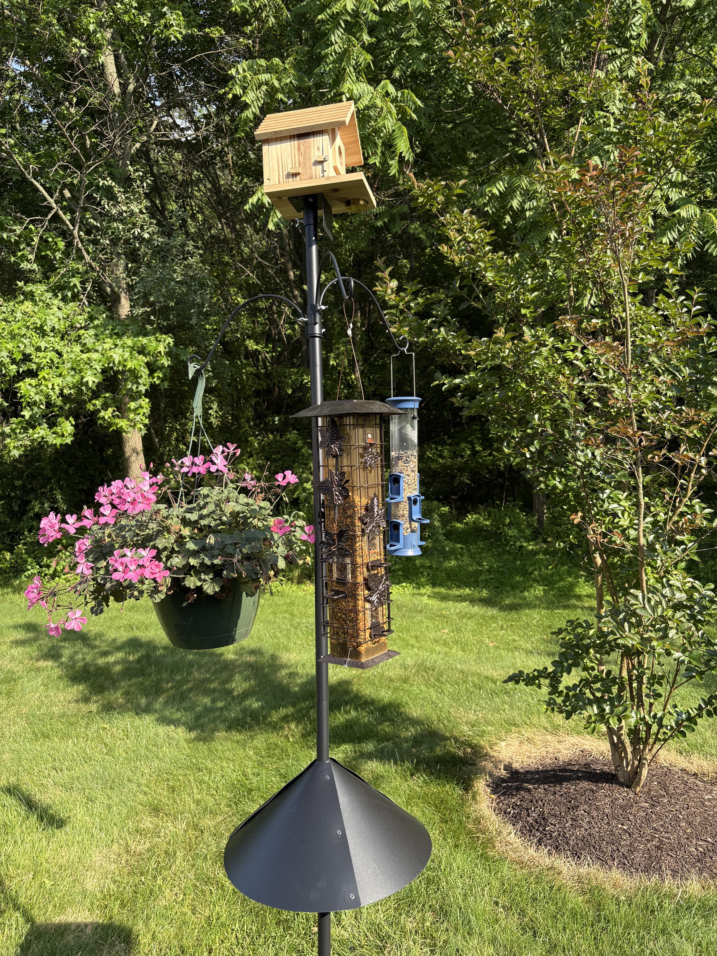 I Needed This: Maybe You Do Too?