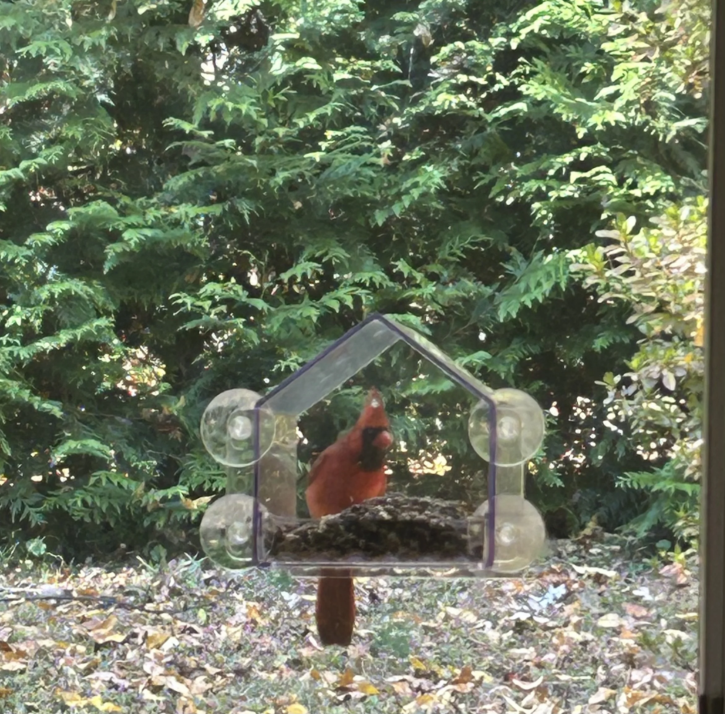 Patience is a virtue....That took me years to cultivate