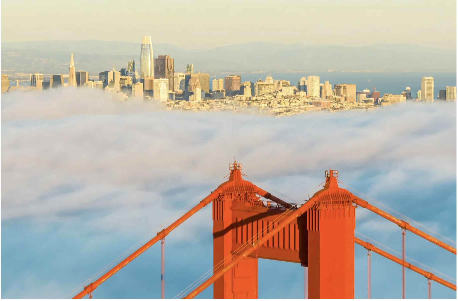 Just Show Up: My Trip to the San Francisco Bay Area