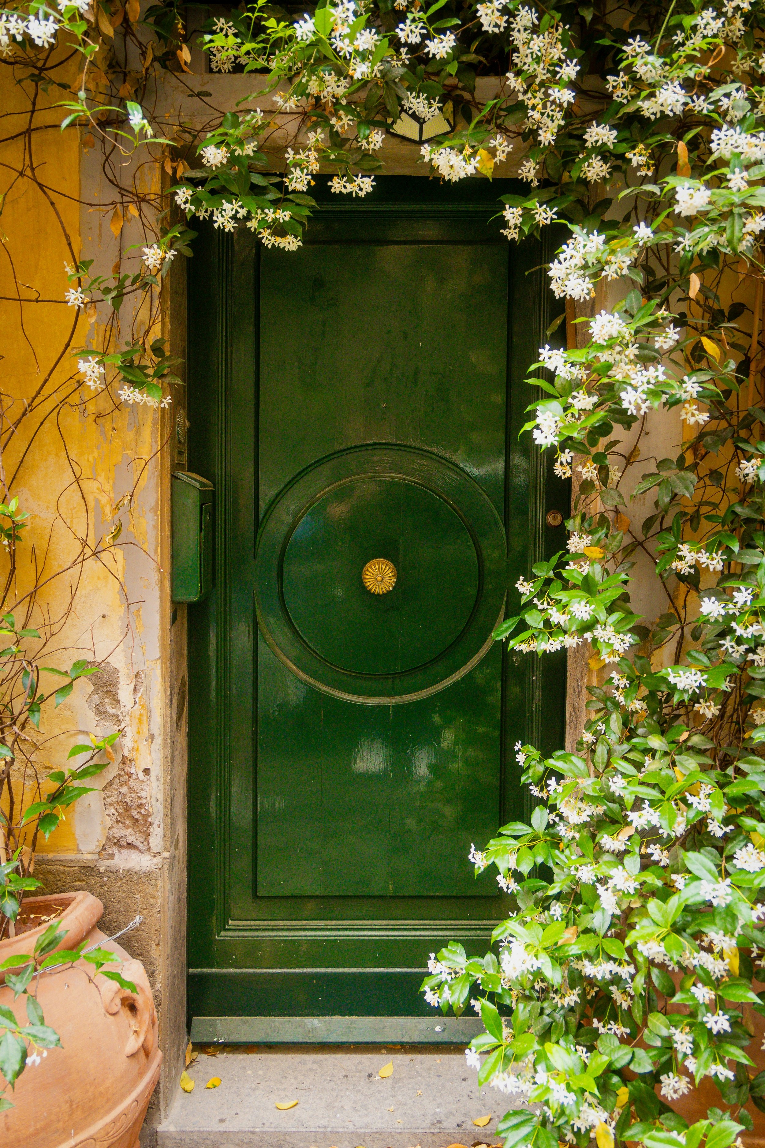 Curiosity is a Doorway