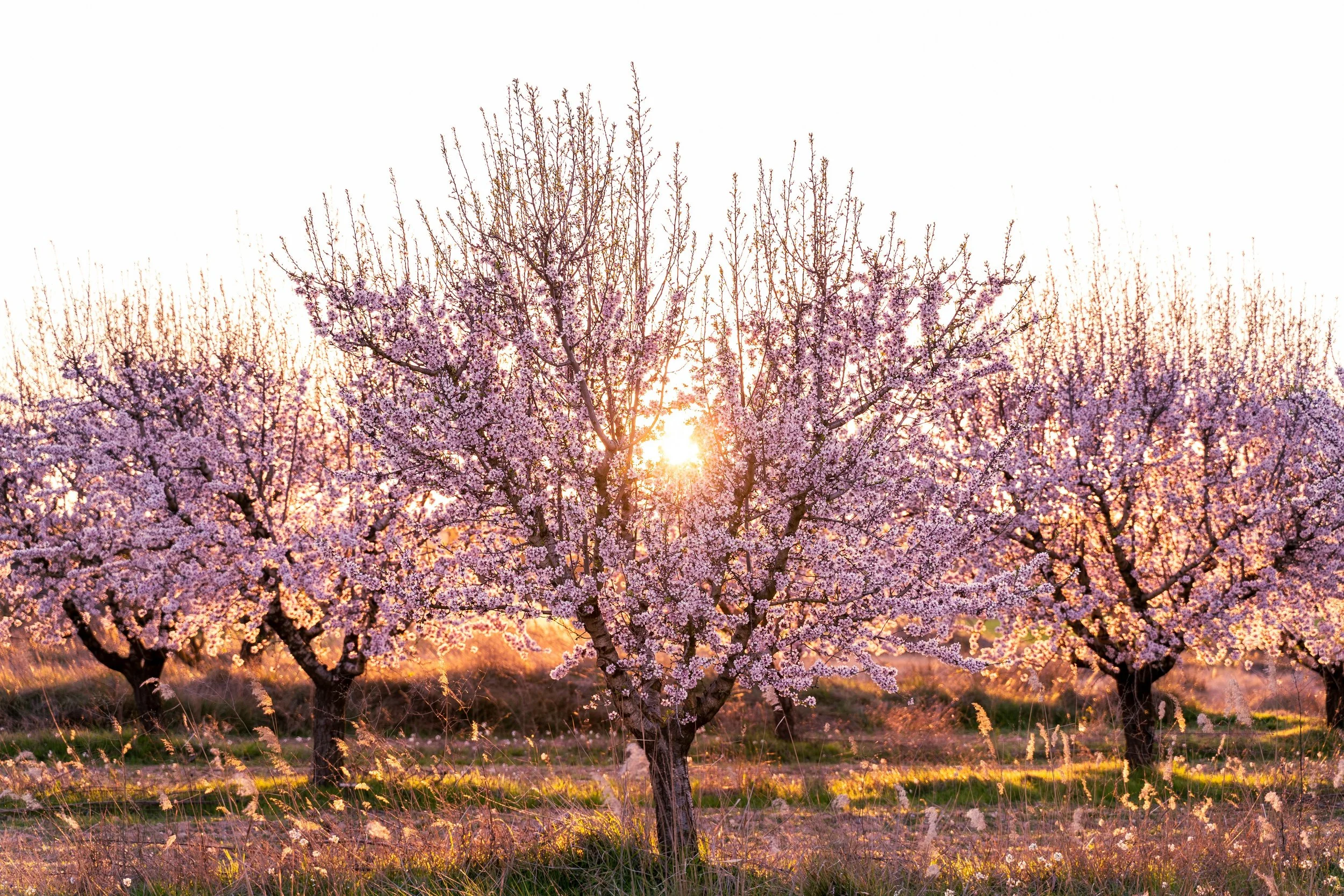A Busy Season: Finding My Yin