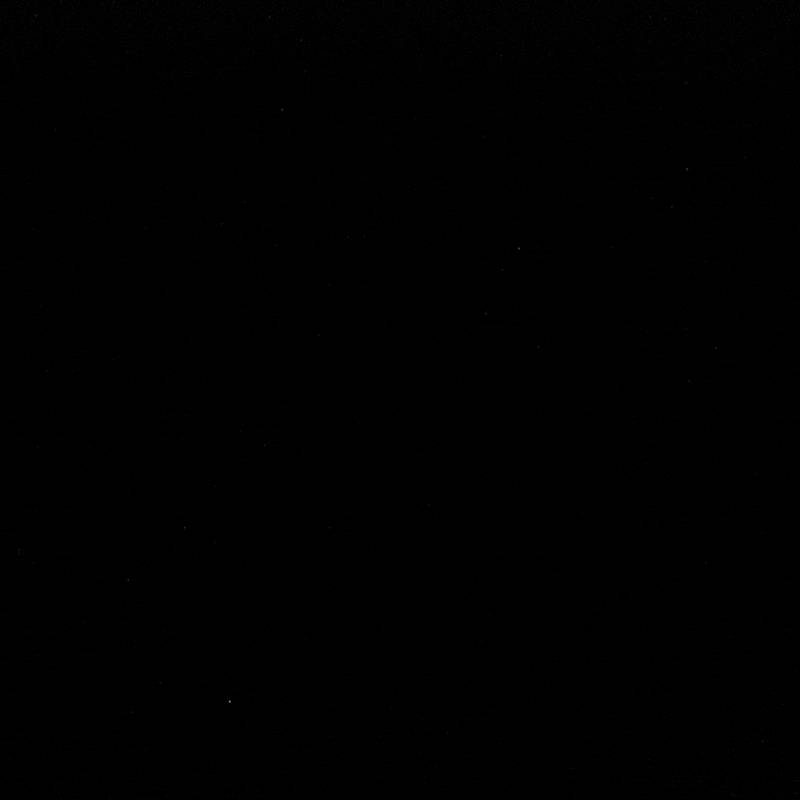 Chris Rock Store Teaser Square.gif