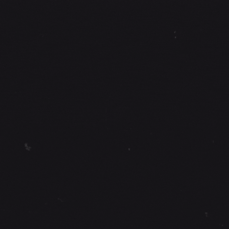 TBC New Merch April 2023 Square.gif