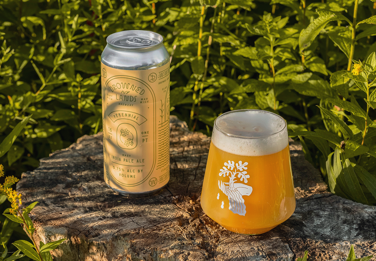 A can of Hazy India Pale Ale and a glass of beer with a white foam head, placed on a tree stump outdoors among green plants.