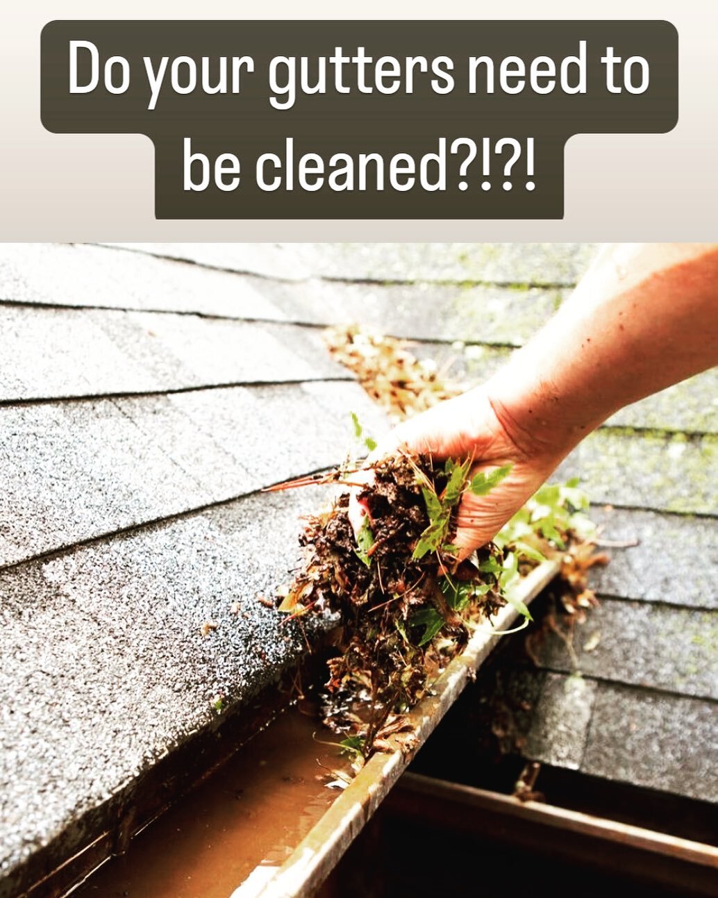 Open time slot for a gutter/downspout cleaning today! Give us a call at 530.921.0309 ☎️☎️☎️