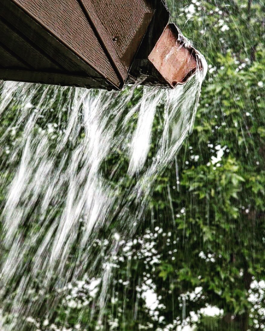 🌧️Next week&rsquo;s forecast calls for rain! 🌧️

🚫Don&rsquo;t let your gutters look like this! 🚫

📞Give us a call and schedule your gutter cleaning! 📞

☎️530.921.0309☎️