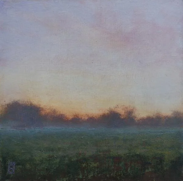 Sleeping Fields