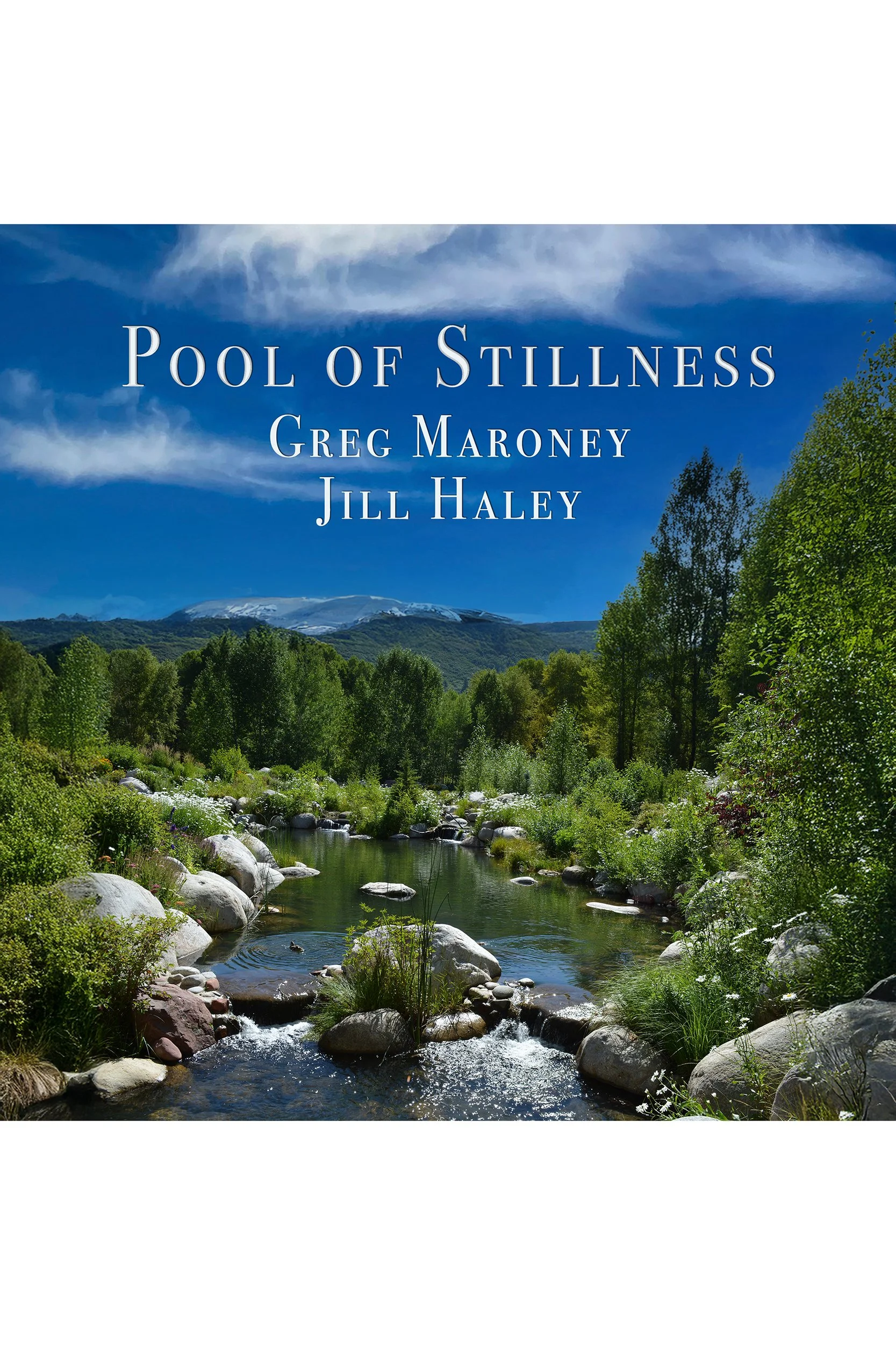 Pool of Stillness