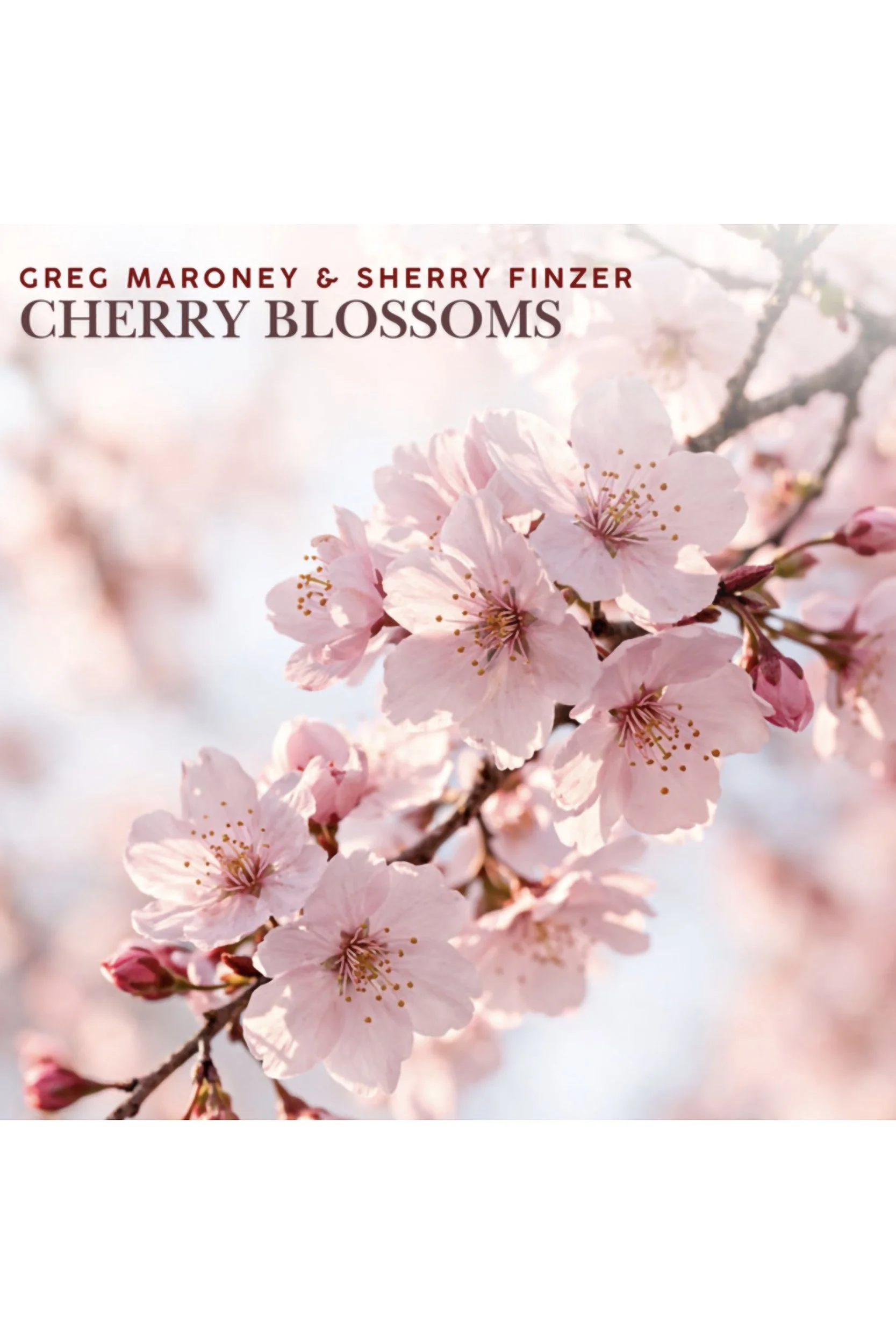 Cherry Blossoms