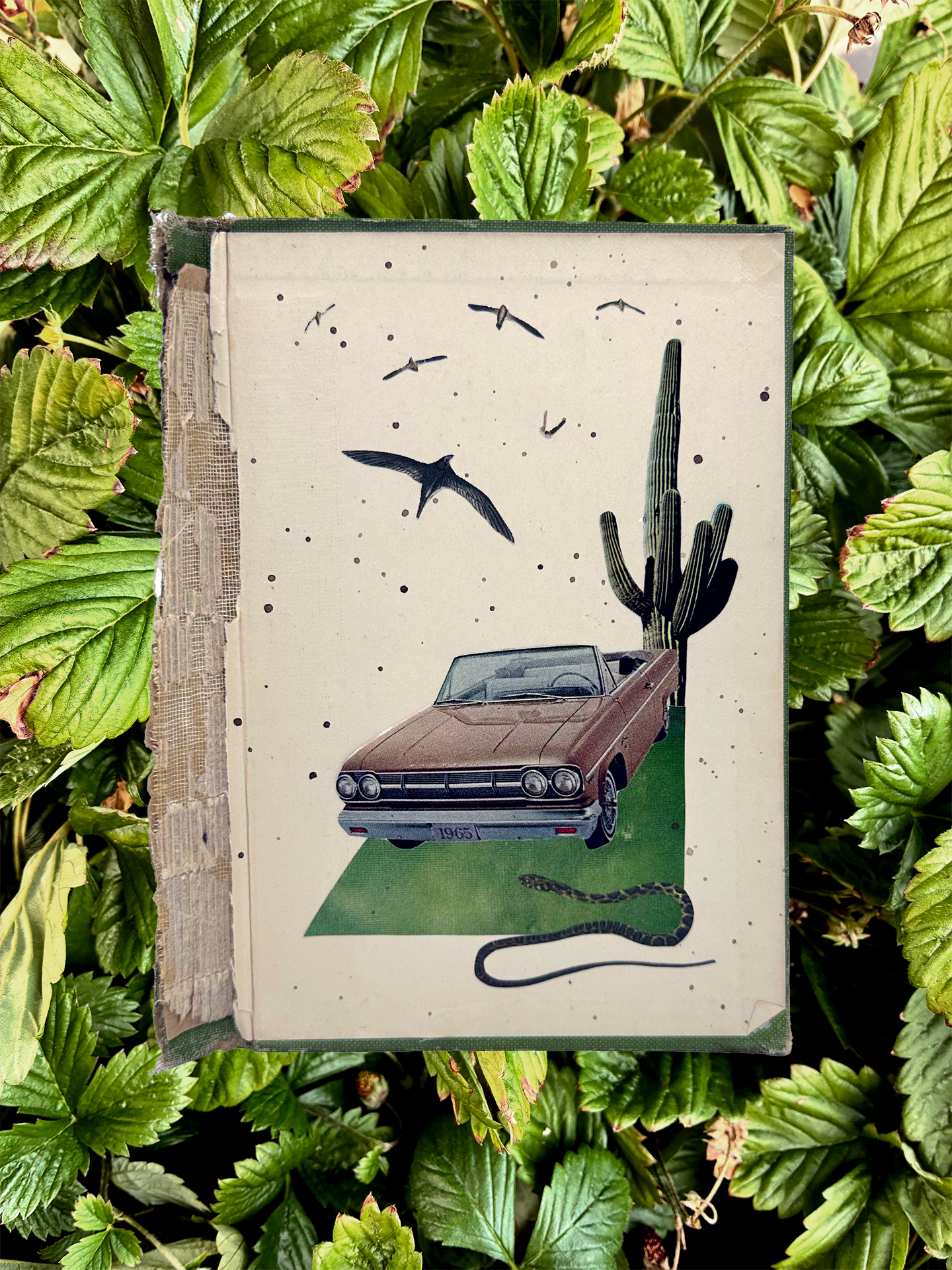 Februllage - Day 24 - Lost