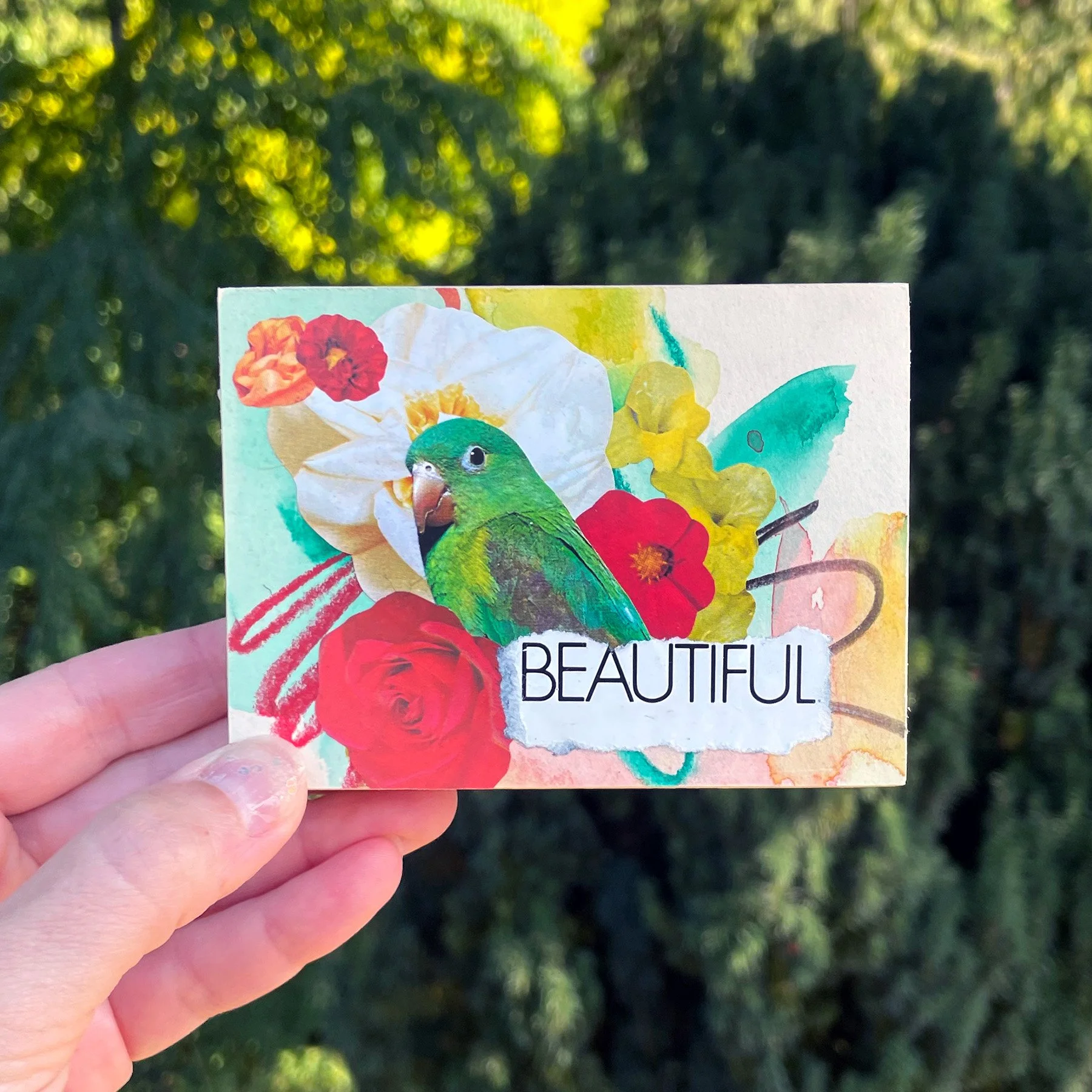 bird-song-series-beautiful-jessa-dupuis