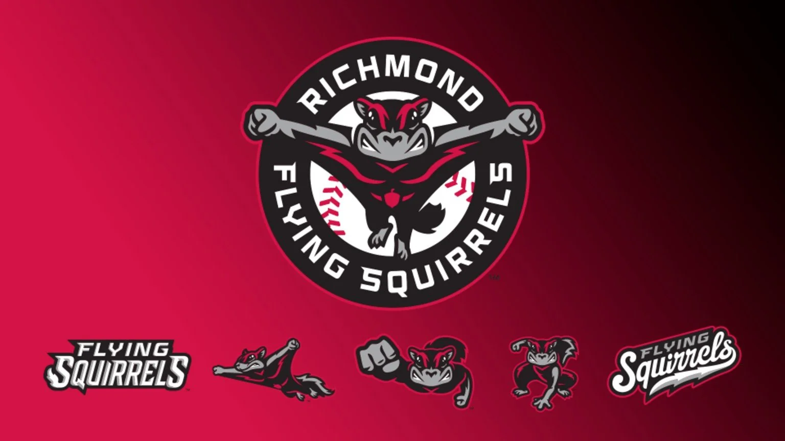 Richmond Flying Squirrels, Carmax Park Virtual Tour