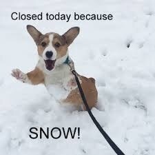 Howdy people, Moogs Place will be closed today in honor of the annual mid March snow storm.  We will see you all soon, stay warm and dry 😘