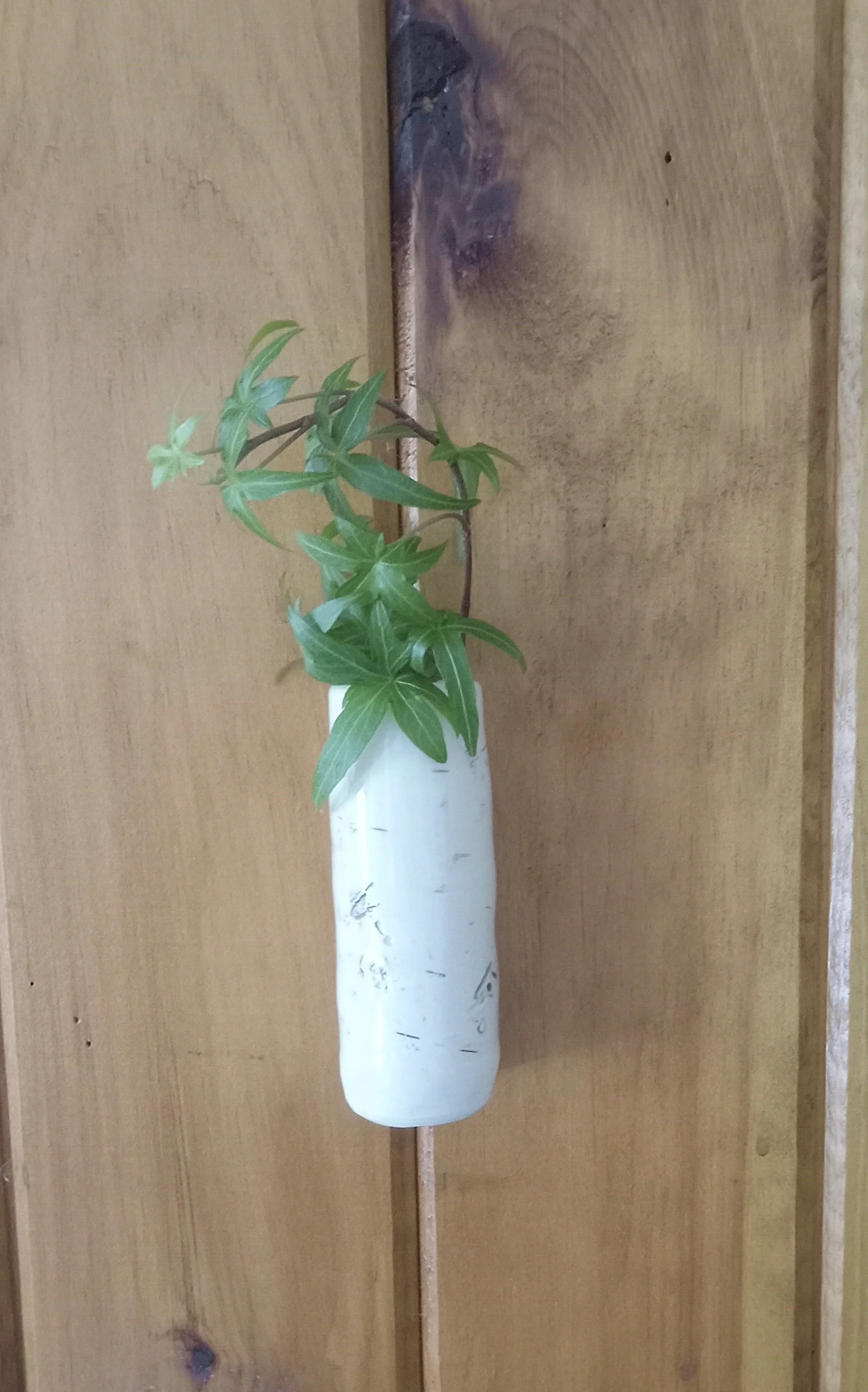 Wall vase