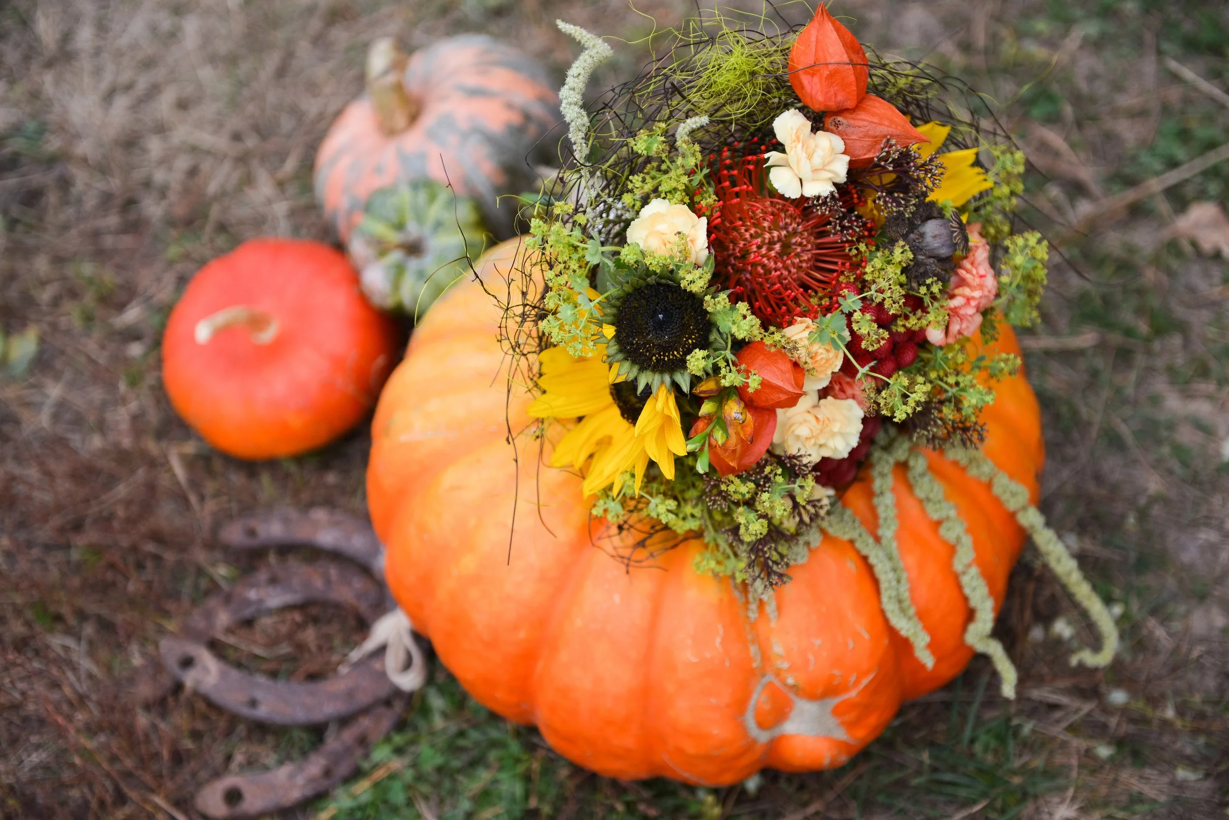 Thanksgiving Party Tips