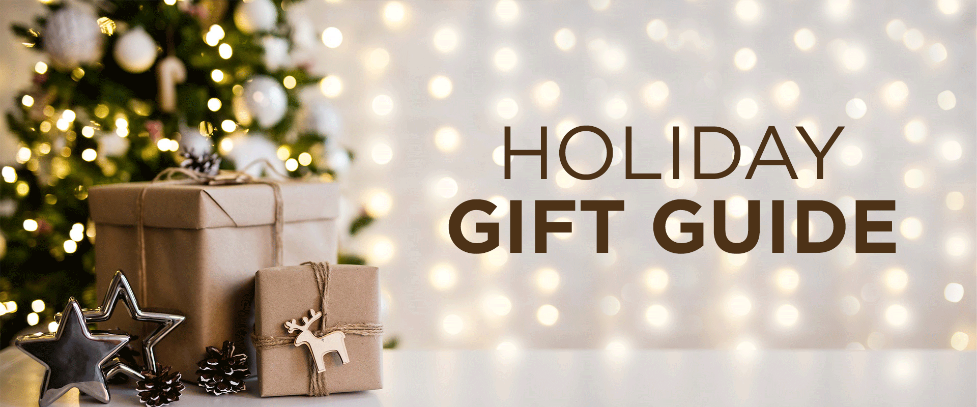 Holiday Gift Guide — Active Blog