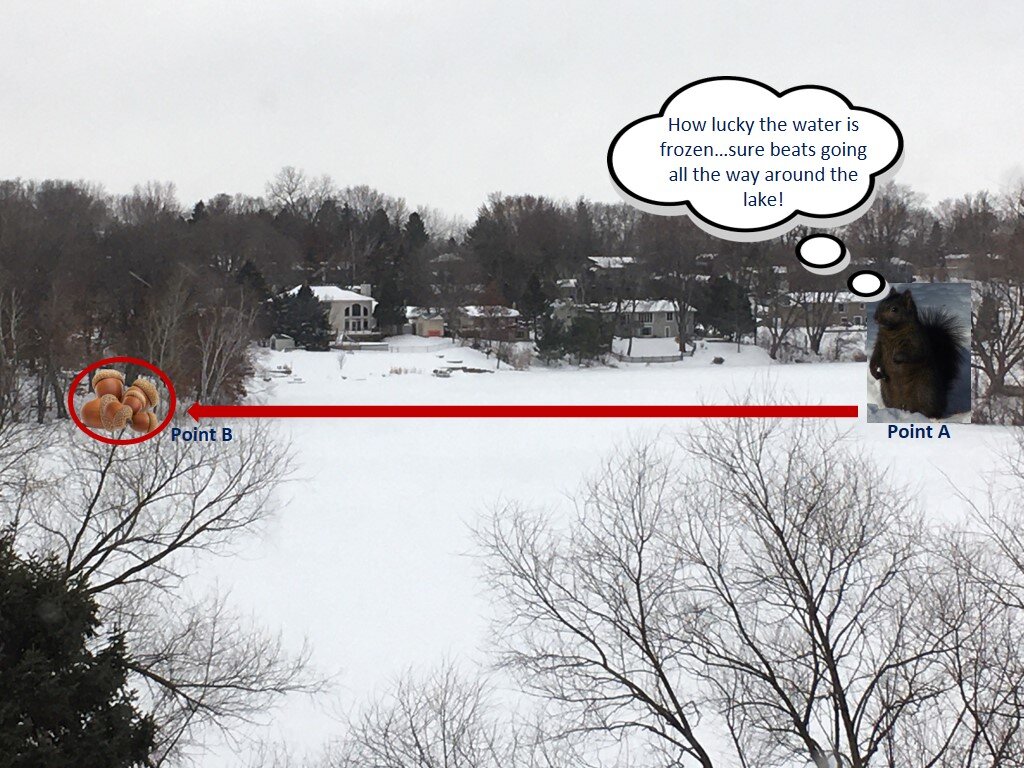 Point A to Point B… Squirrel Style