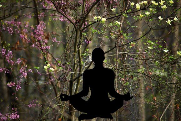 Breathing with the Birds