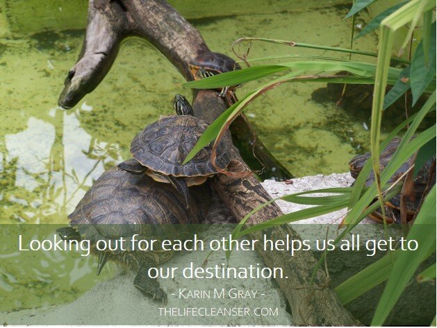 Look Out for Each Other