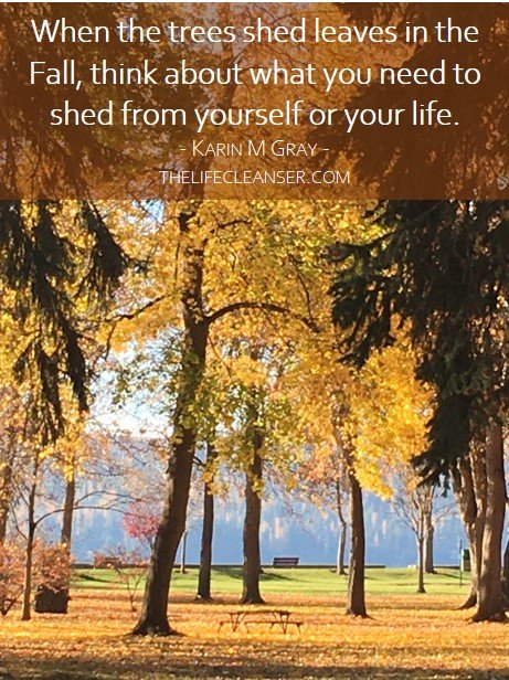 Time To Shed Your Leaves