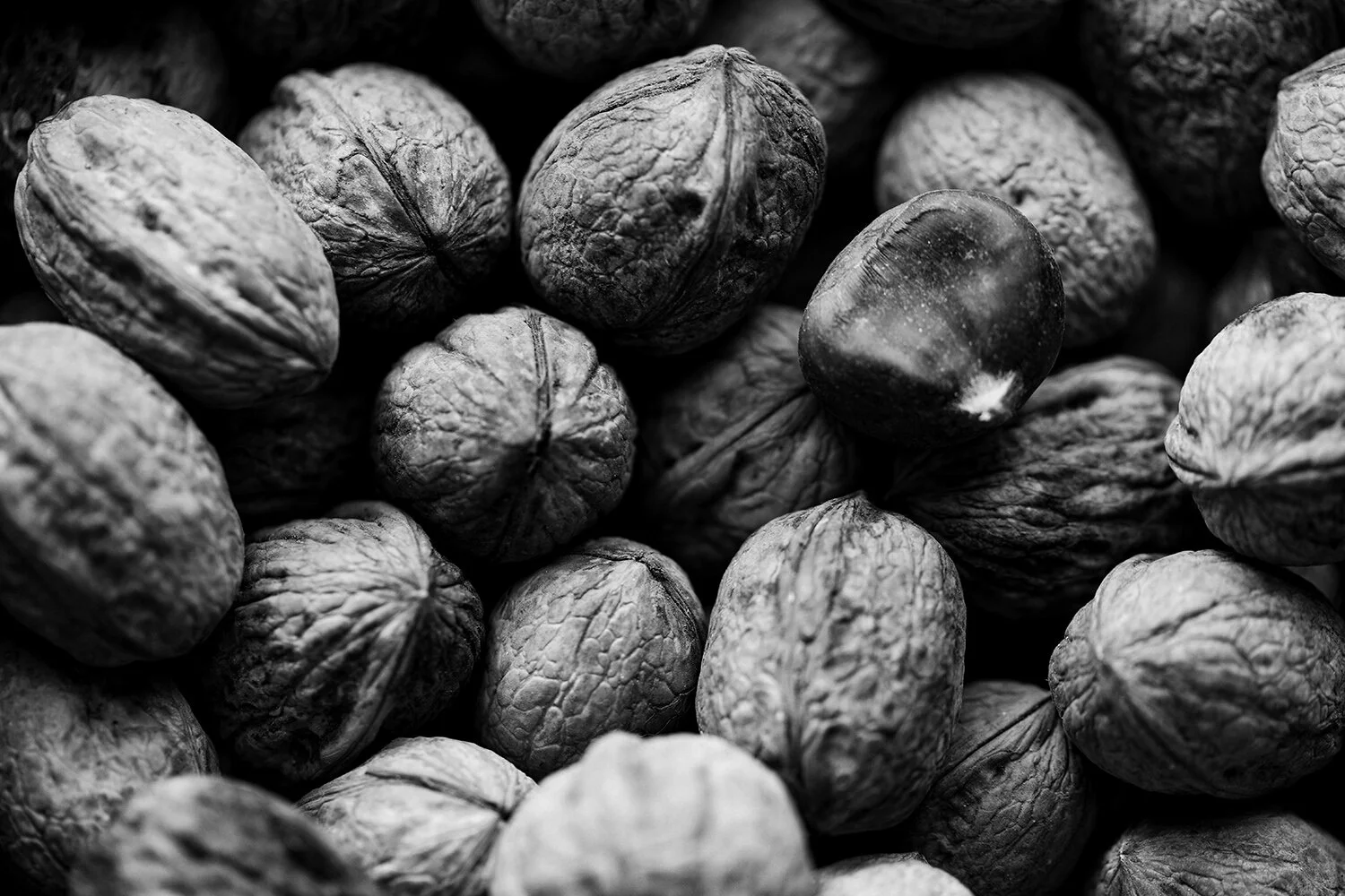 Hand holding a compass