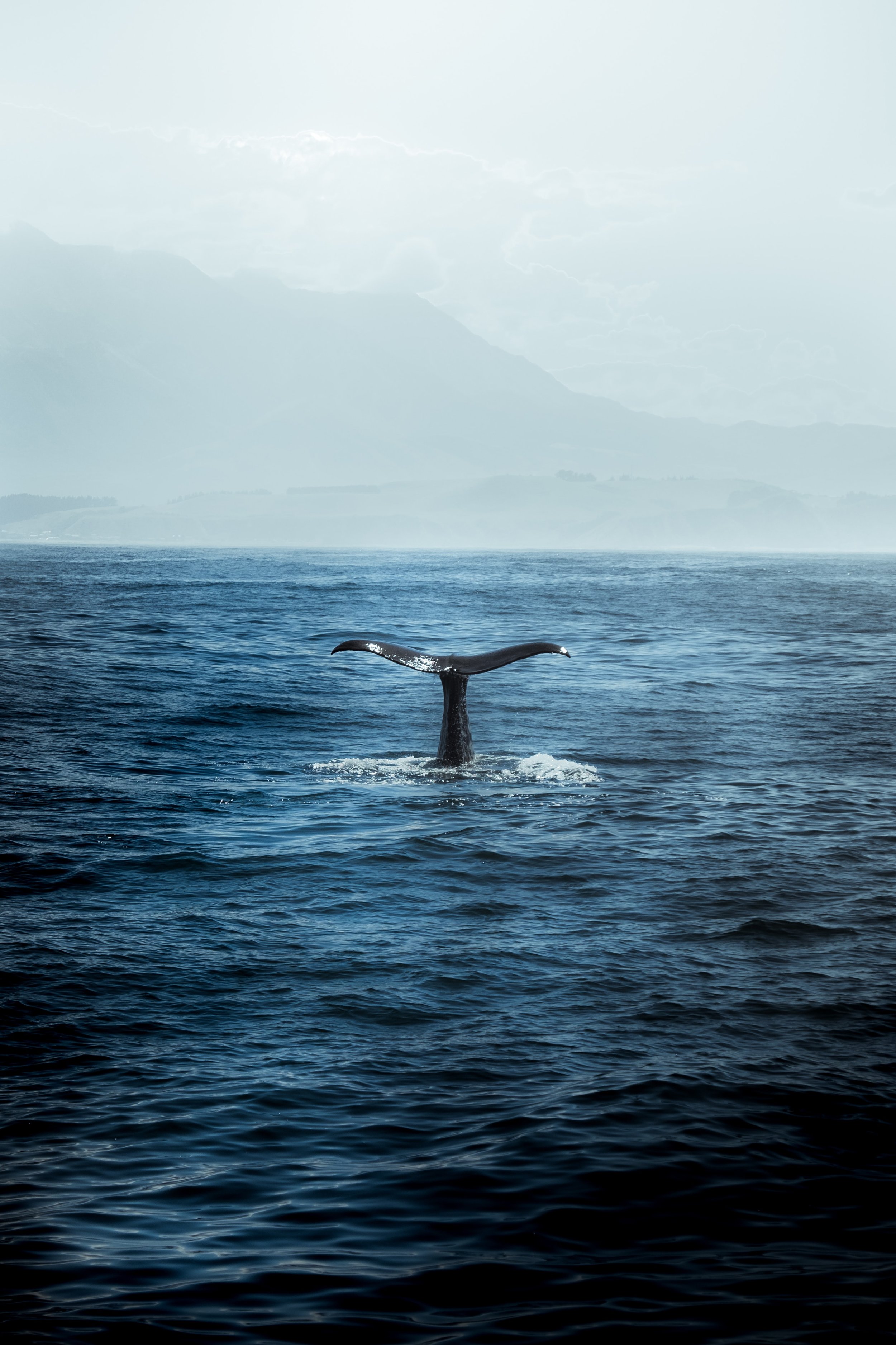 HR Hacks for Leaders: Taking A Deep Dive into Employee Turnover 