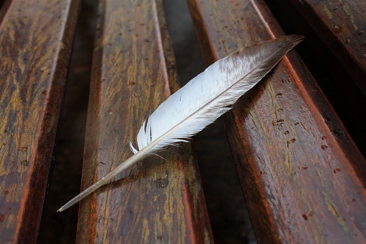 The Significance of Finding a Feather and What the Different Colors