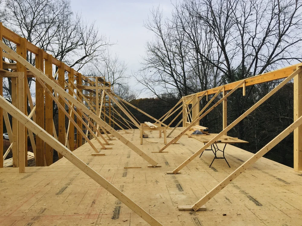 Michael Goorevich - IMG_0717.jpg