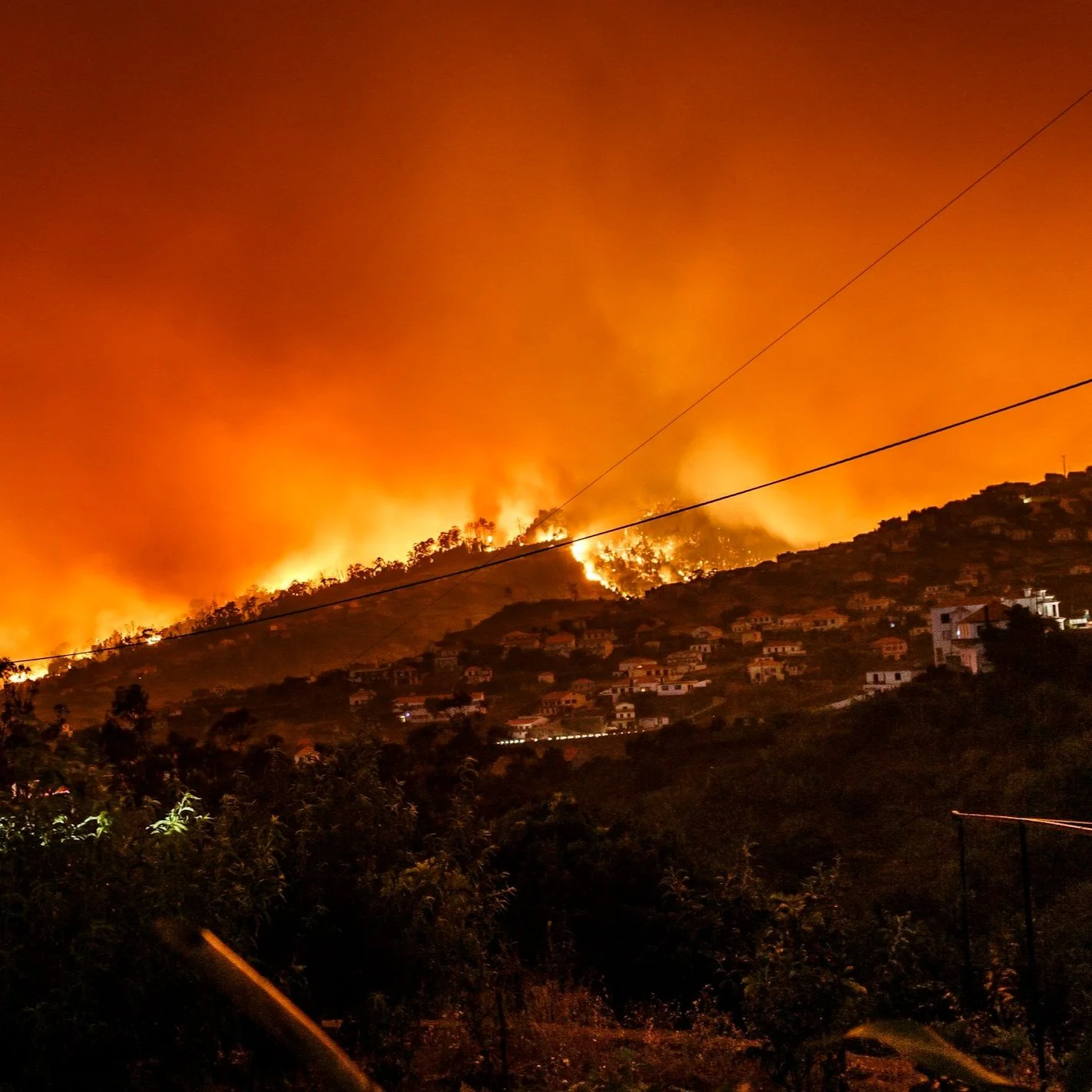 Harry Statter knows how to keep your home safe in a wildfire.