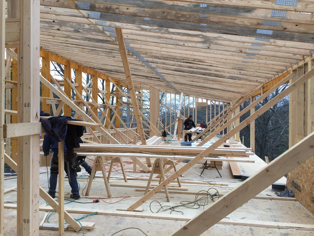 Michael Goorevich - IMG_0755.JPG