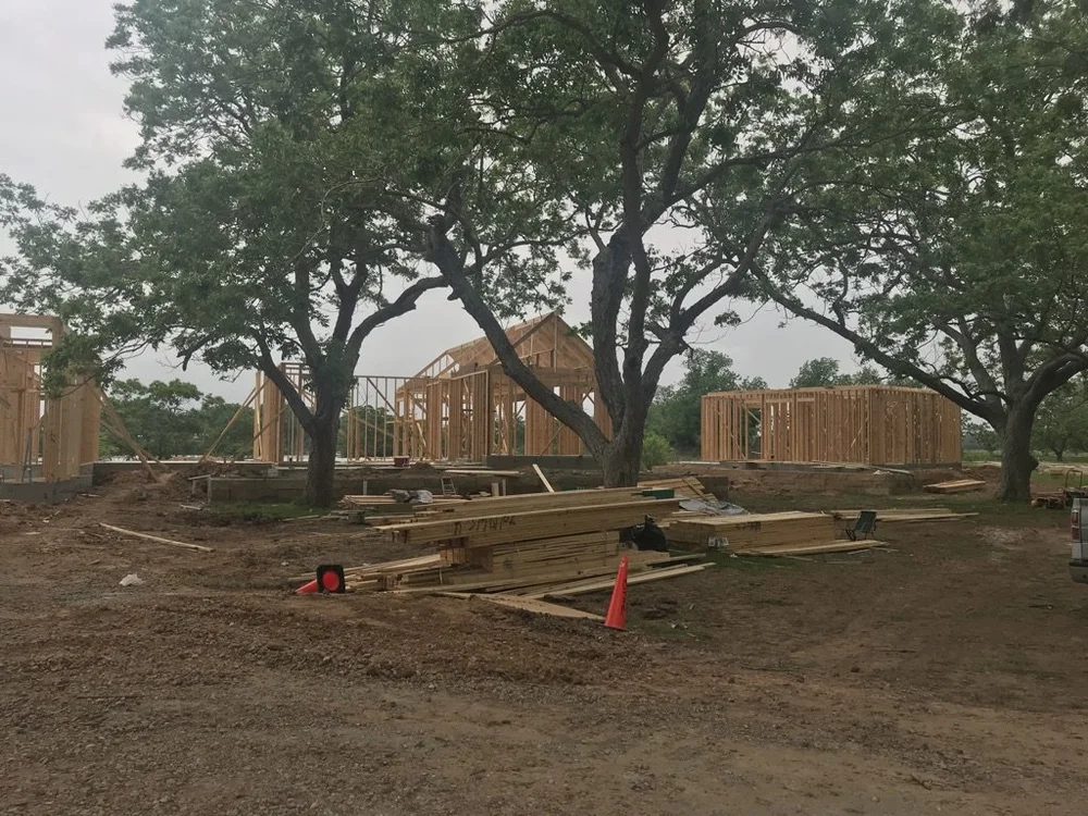 Shannon Galway - E9E506A6-E109-45A6-A41D-28850B8678E1_1_105_c.jpeg