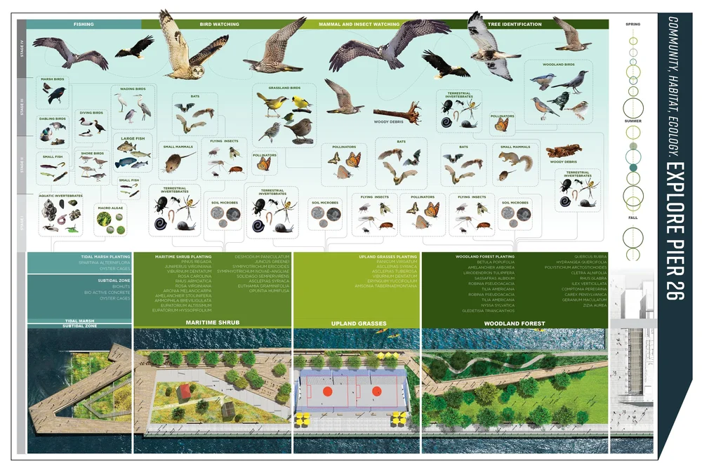 Pier Ecology Map v1.jpg