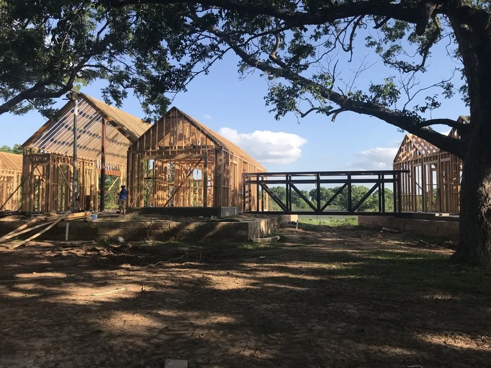 Shannon Galway - 98298AA8-B13E-4AFD-BF32-A07365688DE6_1_105_c.jpeg