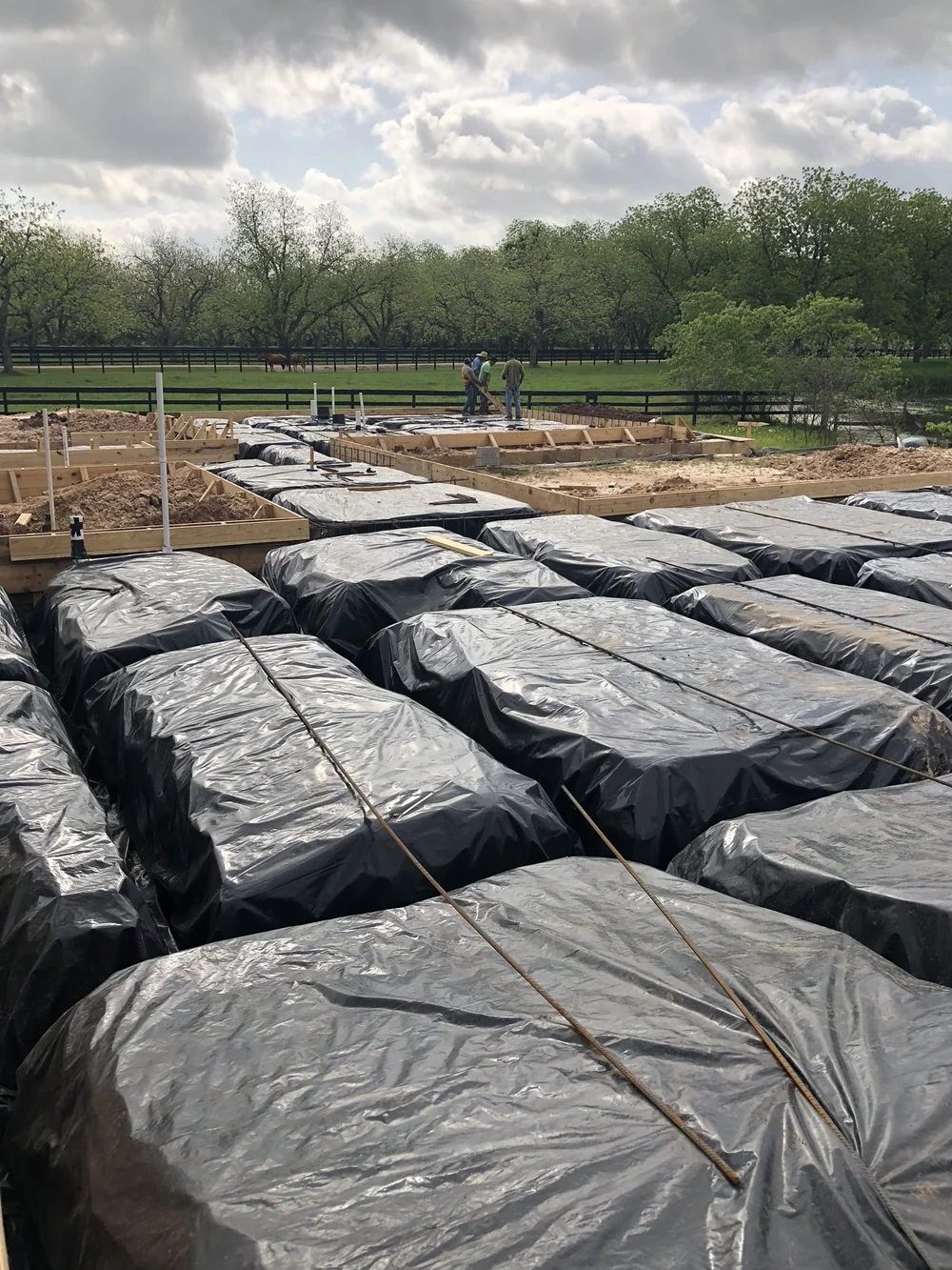 David Wersebe - 23ADF2BF-1351-44EB-9CF2-2016348AF06A.jpeg