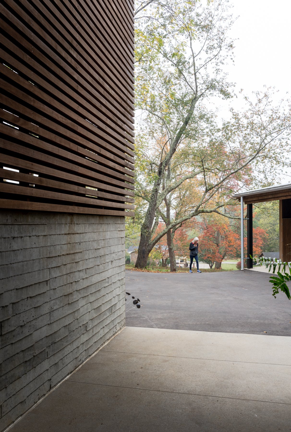 Design vs. Build Wood Screen House — Design vs. Build