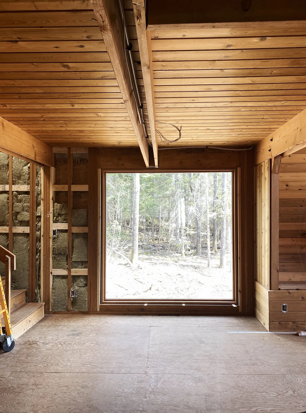 IMG_5532 Melissa Coleman.jpg